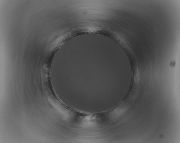 X0000112530366200908311428