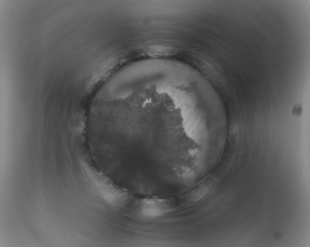X0000112530367200908311428