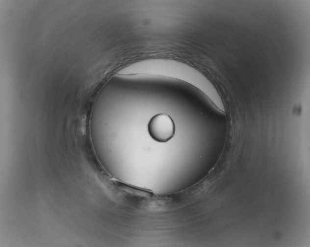 X0000112530368200908311428