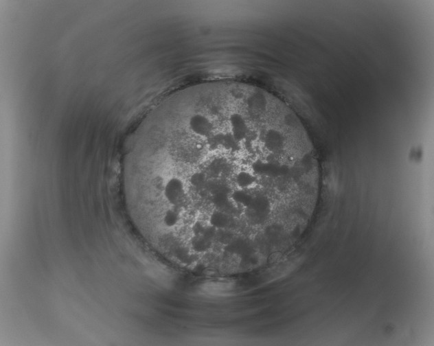 X0000112530369200908311428