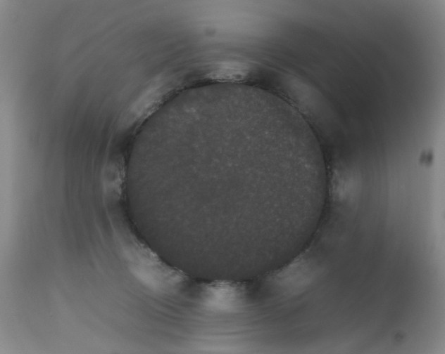 X0000112530370200908311428