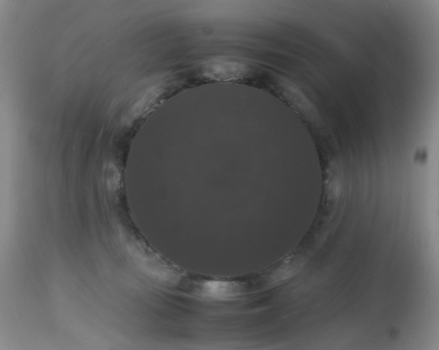 X0000112530371200908311428