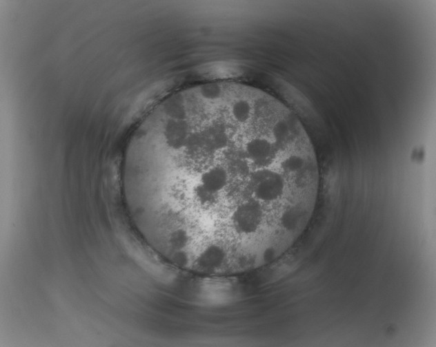 X0000112530373200908311428