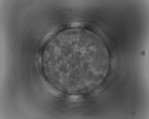 X0000112530375200908311428