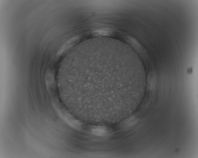 X0000112530377200908311428