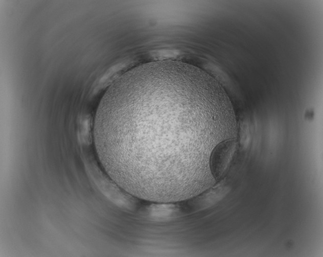 X0000112530378200908311428
