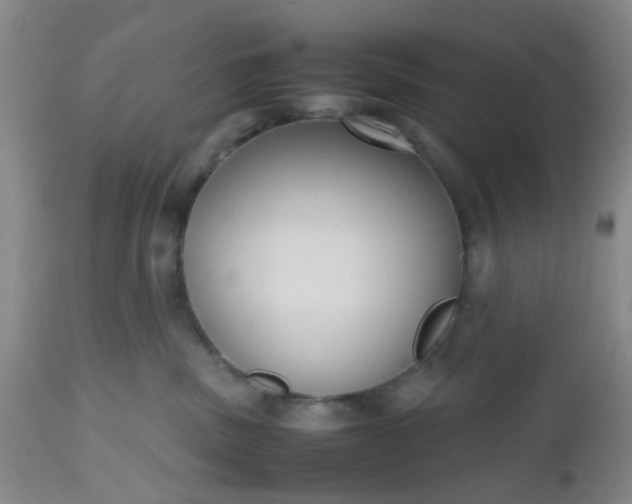 X0000112530379200908311428
