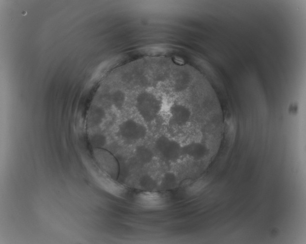 X0000112530381200908311428