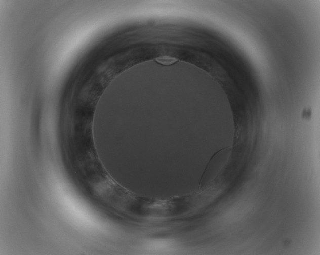 X0000112530383200908311428