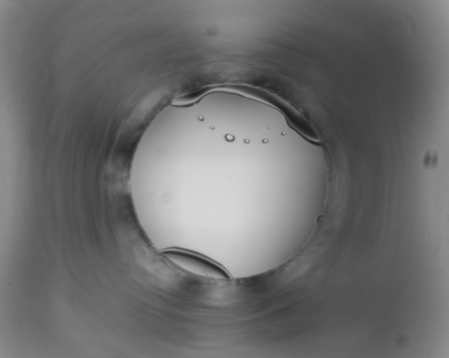 X0000112530384200908311428