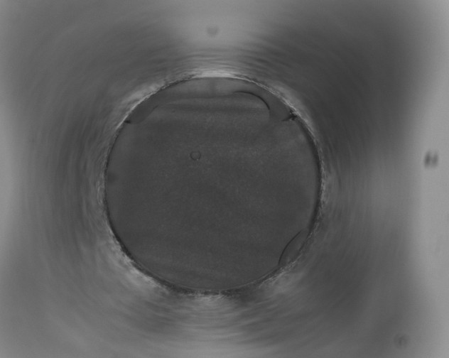 X0000112530385200908311427