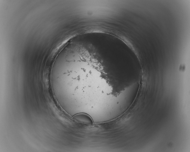 X0000112530386200908311427