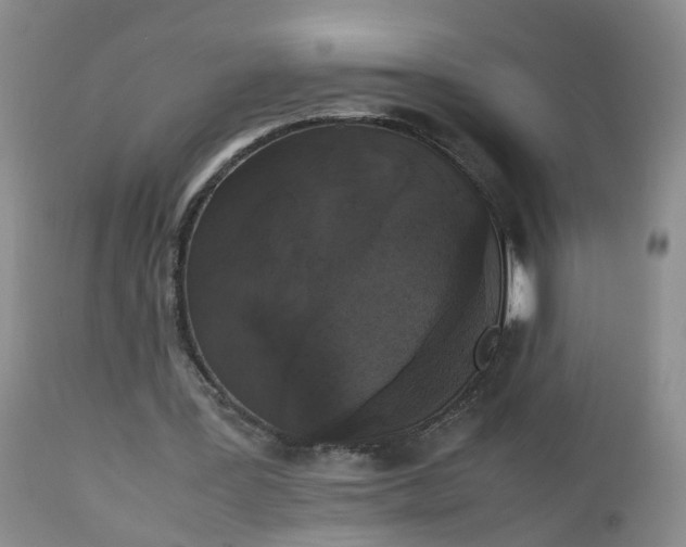 X0000112530387200908311427