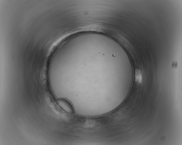 X0000112530388200908311427