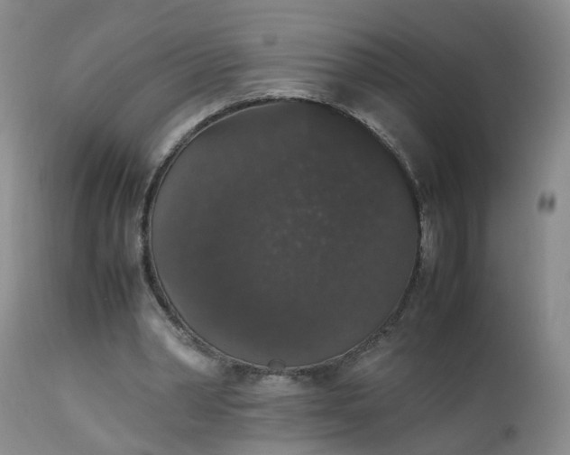 X0000112530390200908311427