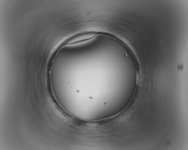 X0000112530391200908311427