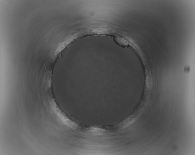 X0000112530393200908311427