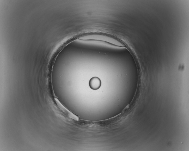 X0000112530395200908311427