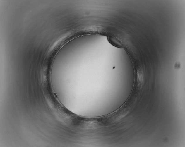 X0000112530396200908311427