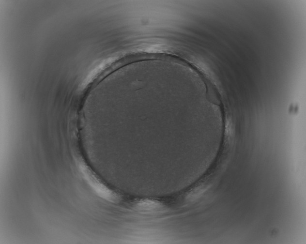X0000112530397200908311427