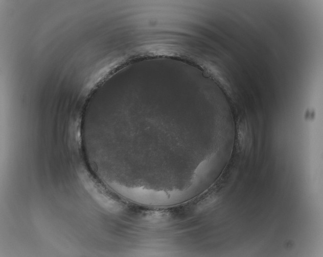 X0000112530398200908311427