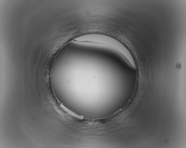 X0000112530401200908311427