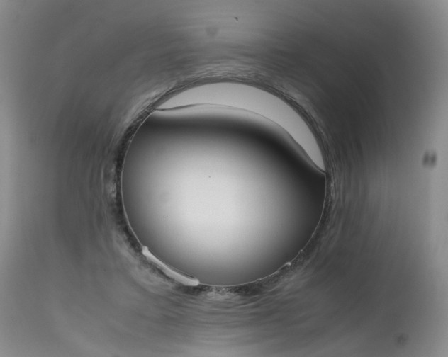 X0000112530403200908311427