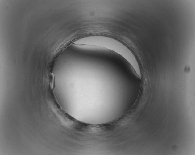 X0000112530405200908311427