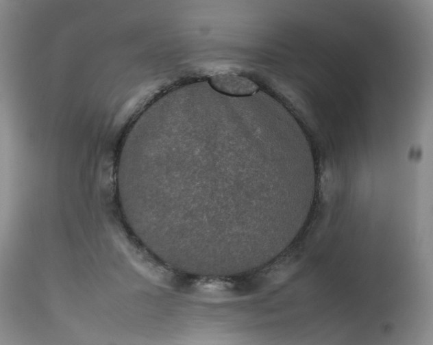 X0000112530407200908311427