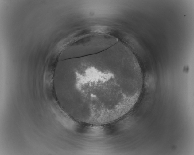 X0000112530409200908311427