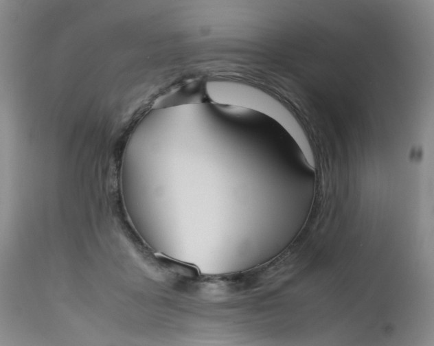 X0000112530411200908311427