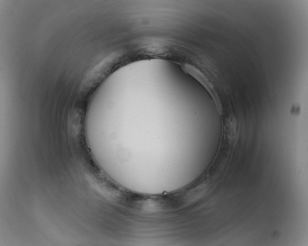 X0000112530412200908311427