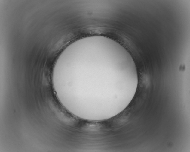 X0000112530414200908311427