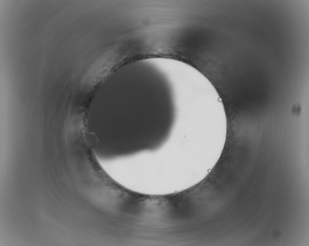 X0000112530415200908311427