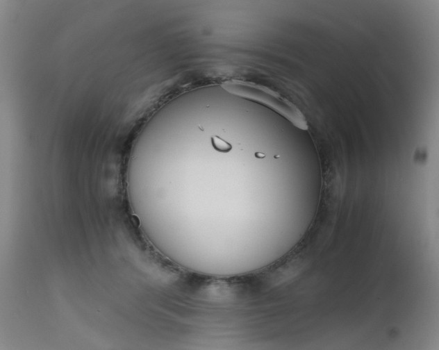 X0000112530416200908311427