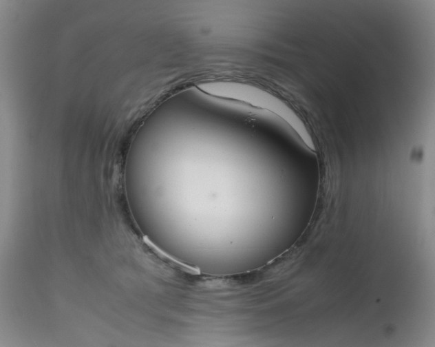 X0000112530417200908311427