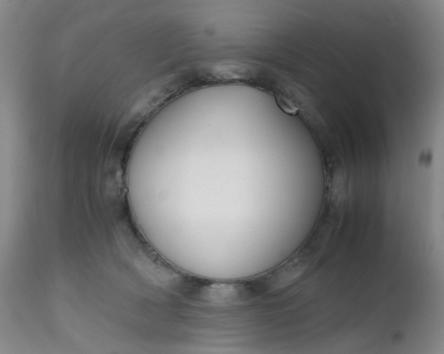X0000112530418200908311427