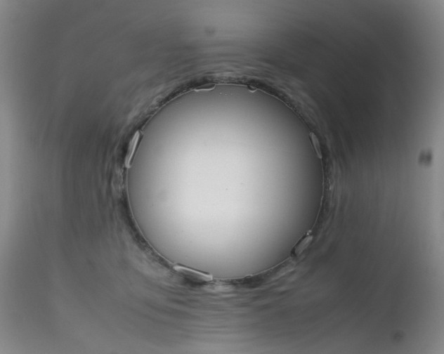 X0000112530419200908311427