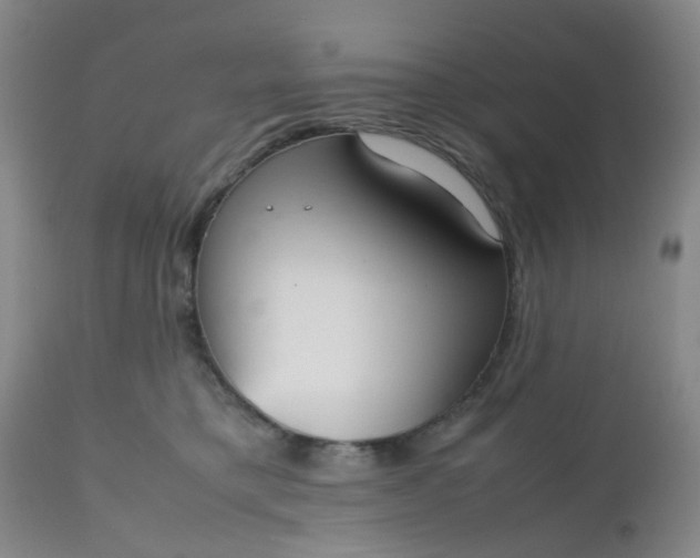 X0000112530421200908311427