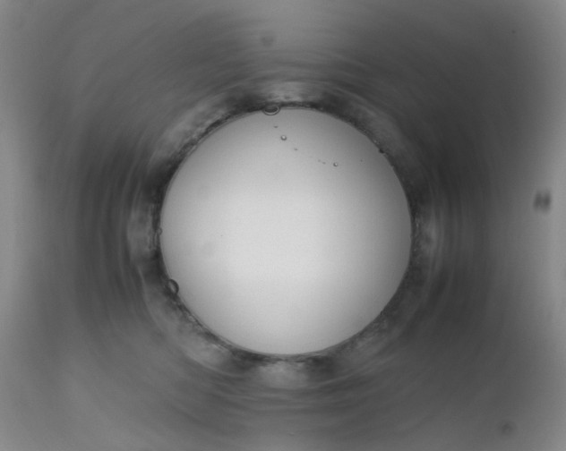 X0000112530422200908311427