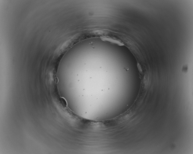X0000112530424200908311427