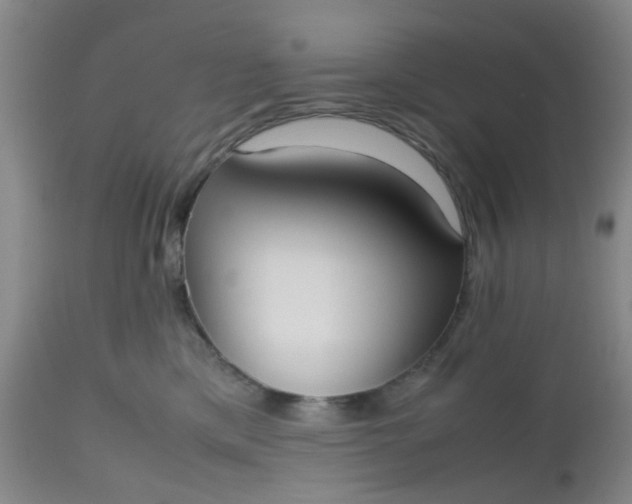 X0000112530425200908311427