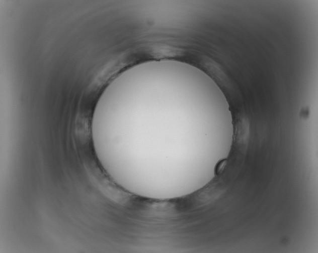 X0000112530426200908311427