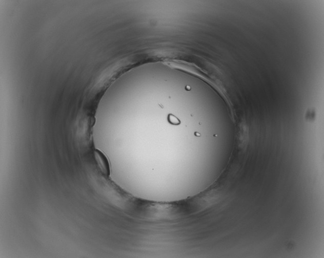 X0000112530428200908311427