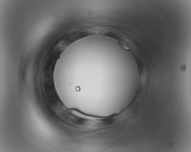 X0000112530429200908311427