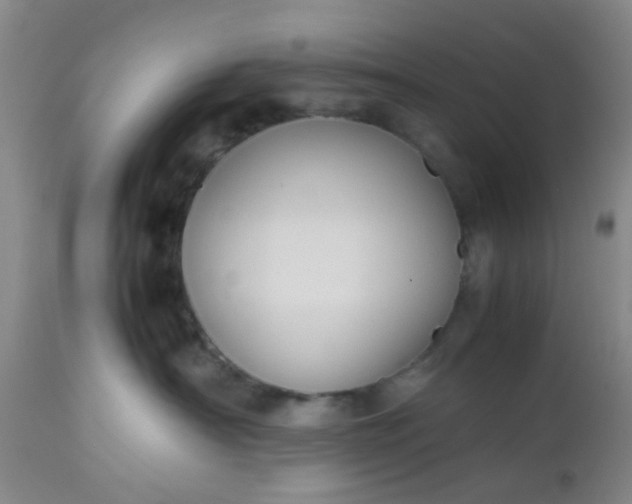X0000112530430200908311427