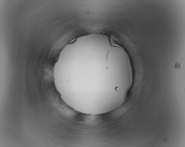 X0000112530432200908311427