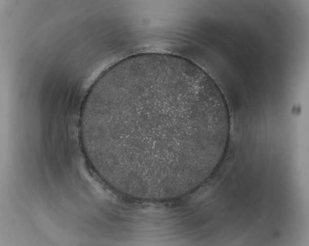 X0000112530434200908311426