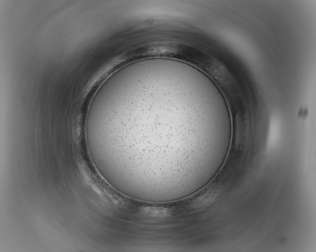 X0000112530435200908311426