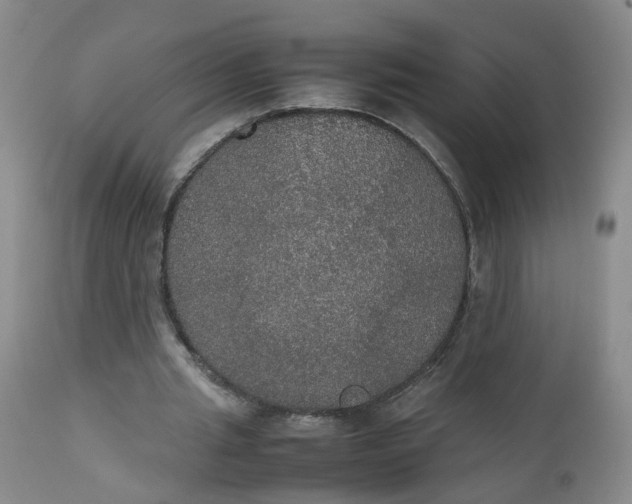 X0000112530437200908311426